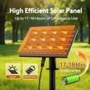 Solar Outdoor String Lights, 50FT 20 Bulbs IP65 Waterproof Patio Lights with Solar & USB-C Dual Charging, Remote Control with Timer, Edison LED String Lights for Garden, Yard, Party, Camping