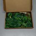 3Pcs Chinese Money Plant 14.5 in Artificial Lotus Leaf Fake Marsh Pennywort Plant Greenery Aesthetic House Plants for Home Decor Indoor Bathroom Table Shelf Desk Office Decor