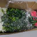 MARTINE MALL 12 Bundles Look Real Artificial Flowers for Outdoors, Realistic Fake Outdoor Flowers, UV Resistant Silk Flowers for Outside Faux Flowers Plants for Outdoor planters Porch, Mixed Color