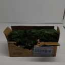 9FT Christmas Garland Pre-lit with 50 Lights, Plug in, for Mantle/Stair/Indoor/Outdoor Xmas Garland Green