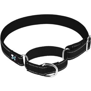 Adjustable Martingale Safety Training Dog Collars, Soft Neoprene Padded Breathable Nylon Pet Collar for Small Medium Large Dogs (L, Black)