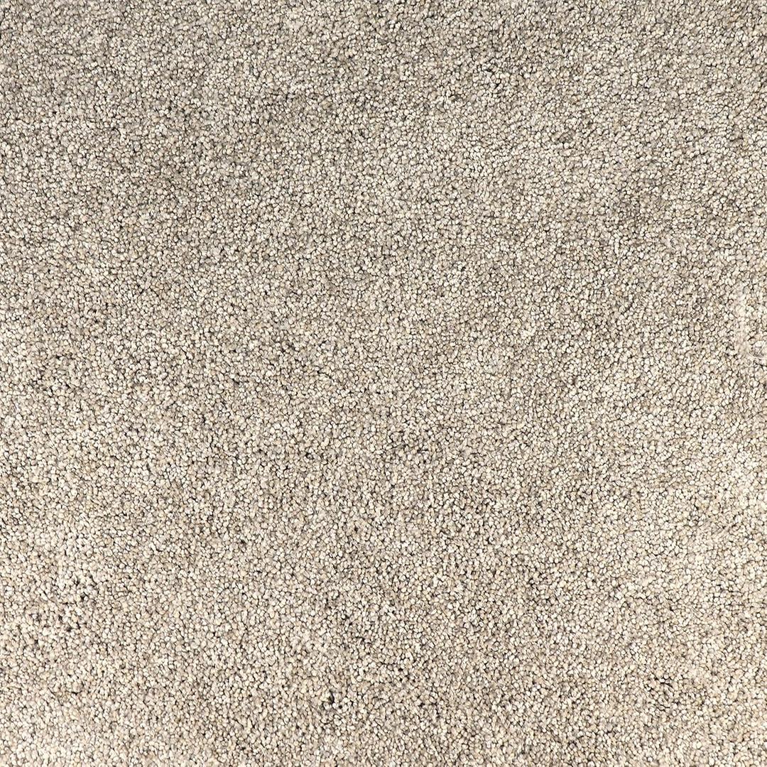 Peak Performance Peel and Stick Carpet Tiles with Attached Cushion, Easy DIY Install, Soft Residential Carpet, Seamless Appearance (Denali, 10 Tiles - 22.5 Square Feet)