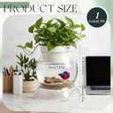 Geelin 1 Gallon Plastic Aquaponic Betta Fish Tank Aquaponic with Base and Top, Large Bowl Shatterproof Ecosystem Aquarium with Clear Clarity for Terrarium, Flower Vase Betta Fish Centerpiece Gifts