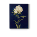 Wall Décor, Livingroom Wall Art,Rustic, Contemporary, Poster, PRETTY AS A PEONY II - Premium Gallery Wrapped Canvas 22X24