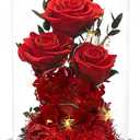 DENIMOMO Valentines Day Flowers Roses Gifts for Women Her,Forever Preserved Rose in Glass Dome, Valentines Anniversary Birthday Real Roses Gifts for Wife Women Girlfriend Best Friend/Red