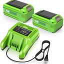 6.0Ah 29472 Replacement for Greenworks 40V Battery and Charger Compatible with Greenworks 40V Lithium-Ion Battery 29462 29252 20202 22262 25312 25322 20642 22272 27062 21242 (2Batteries+Charger)