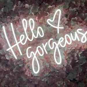 Hello Gorgeous Neon Sign,LED White Neon Hello Sign Decorative Art Lamp with Dimmable Switch Suitable for Home Wedding Birthday Backdrop Party,17x10In,Usb Powered(White Hello Gorgeous)