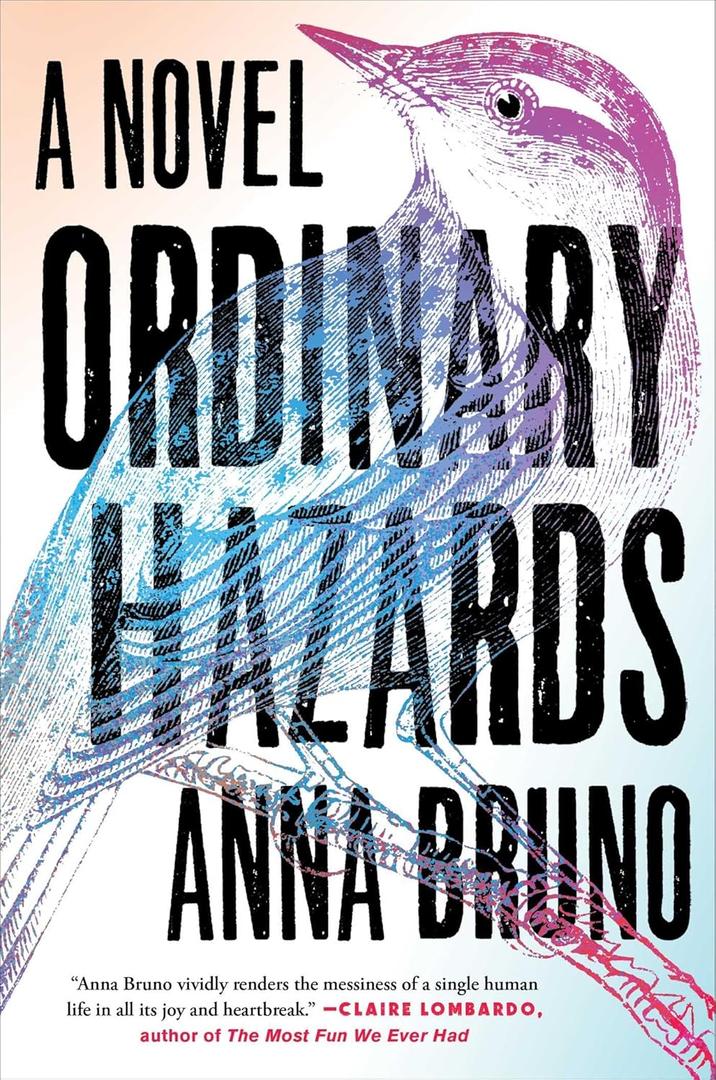 Ordinary Hazards: A Novel Book