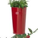 XR Galvanized Heavy Gauge Steel Hanging Strawberry Floral Planter, Red