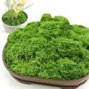 SETRUE Fake Green Moss for Crafts, 5.3 OZ Artificial Fake Green Moss for Planters Faux Moss Decor for DIY Decorative Table Centerpieces Decor Fairy Garden Model Making (150g)