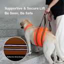 Vinqki Adjustable Dog Lift Harness, Rear Leg Support and Rehab