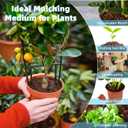 Coco Coir Bricks 6 Pack Premium 100% Organic Peat Moss, Fiber Coconut Husk for Planting, Gardening, Potting Soil Substrate