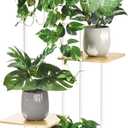 4 Tier Plant Stand Indoor Outdoor, Wood Metal Corner Shelf, Multiple Flower Pot Rack Holder Shelves, Planter Shelf Display Storage Organizer for Patio Living Room Balcony (White)