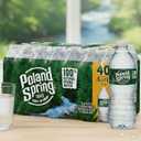 Spring Water 40 Pack - 16.9 Fl Oz.