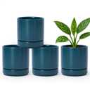 D'vine Dev Set of 4 Small Ceramic Plant Pots, 4.7 Inch Succulent Planter Pot for Plants with Drainage Hole and Saucer, Teal, 94-X-B-9