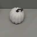 Woration 5 Inch Artificial Fake White Pumpkin Halloween Thanksgiving Cushaw Pumpkin Decoration Faux Vegetable Lifelike Food Model for Autumn Fall Harvest Embellishing & Display (Small)