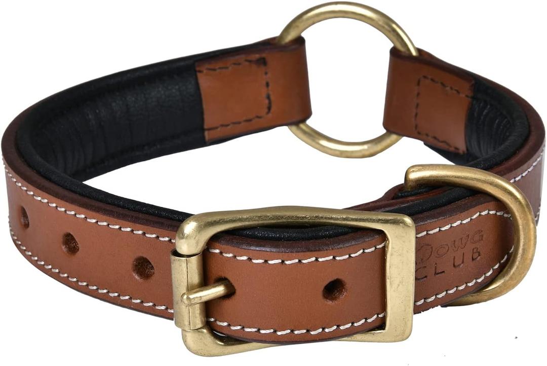 | Genuine Leather Adventure Dog Collar | Full Grain, Heavy Duty | With inner Cushioned padding | Best for Medium, Large & XL Dogs (Large (Fit Neck Size 18.5"-22.5"), Brown With Center O Ring)