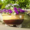 Bosmere Pot Toes, Plant Pot Risers for Indoor and Outdoor, Prevent Stains and Rotting on Wood, Cement, and Tile - Terra Cotta (Pack of 12)