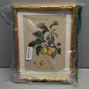 InSimSea Gold Bamboo Framed Canvas Wall Art, Retro Nature Plum Botanical Paintings, Antique Vintage Picture Frame with Mat, Victorian Home Wall Decor for Living Room Kitchen Dining, 11x14inch