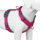 Plutus Pet No Pull Dog Harness, Adjustable Nylon Harness with Soft Padding, Reflective and Heavy Duty Dog Harness for Medium Dogs(Hot Pink, M)