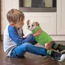 Pet Knitted Clothes,Button Button Half Chest V-Neck Pet Clothing,Pet Sweaters for Dogs Boys or Girls,Dog Clothing,Pullover Dog Sweater,Suitable for Most Sizes or Breeds of Dogs(Green,XL)