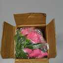 2 Pcs Artificial Fake Flowers for Outdoors Plants Spring Decoration UV Resistant Faux Pansies Greenery Silk Impatiens Flowers for Outside Patio Outdoor Planters Front Porch Window Rose Red