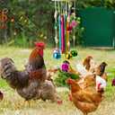 Chicken Toys with Treat Ball for Coop, Chicken Wind Chime Toys for Hens with 5 Metal Bells, Hanging Chickens Coop Pecking Toy for Hens Chicks Poultry