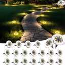 SOLPEX Solar Ground Lights 20 Pack, Solar Pathway Lights Outdoor Waterproof, Landscape Lighting for Garden, Walkway, Driveway, Yard, Deck, Patio, Swimming Pool (Warm White)