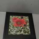 16x16 Picture Frame Black Solid Wood for Black Mat 12x12 Wall Mounting Square Poster Frames