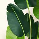 Artificial Bird of Paradise Plant 6Ft Fake Tropical Palm Tree with 13Trunks Faux Banana Leaf Trees in Pot for Home Indoor Outdoor Office Modern Decor Housewarming Gift2Pcs