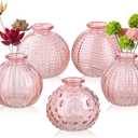 ELEGANTTIME Single Glass Bud Vase Pink Vases for Centerpieces Decor Glass Flower Vase Bottle with Crok Wire Iron Handle Design for Cafes, Office Table, Home and Garden
