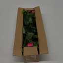 Artificial Impatiens Bouquet Flowers for Outdoors Silk Faux Flowers for Outdoor Impatiens Plants Decor Indoor Planters Kitchen Planters and Balcony Decorations 2PCSRose Red