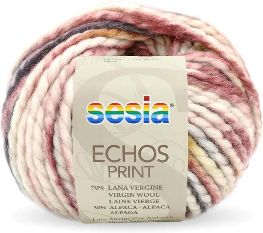 2 Skeins, Organic Virgin Wool and Alpaca, 108 Yds/3.5 oz., Needles US 10.5-11 Sesia Echos Print (2, Multicolor - 4479)