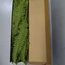 35" Ferns Artificial Bush Plants Large, 2 Artificial Boston Ferns with 39 Fronds for Outdoors Home Decor (35" 2 Pcs)