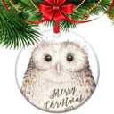 Wise Winter Owl Ornament, Owl Lover Gifts, Nature Lover Gift, Woodland Animals, Forestcore Ceramic Xmas Decoration (C19)