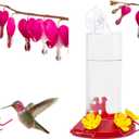 Perky-Pet 217 Window Mount Plastic Hummingbird Feeder with Perches - 8 oz Outdoor Garden Dcor Hummingbird Feeder (Pack of 2)