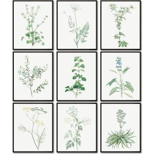 LANCHI95 botanical wall art - Minimalist Aesthetic Rose Collection, Bedroom Wall Art, Sage Green Eucalyptus Leaf Prints for Office (9pcs- 8x10in- UNFRAMED) (Botanical)