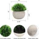 THE BLOOM TIMES 2 Pcs Small Fake Plants for Home Decor Indoor, Artificial Faux Potted Greenery for House Office Decorations