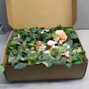 Ling's moment 9FT Spring Eucalyptus & Willow Leaf Flower Garland for Pink Wedding, Valentines Sweetheart Table Centerpieces Head Table Decor, Arch Backdrop Decorations for Wedding | Garden Blush