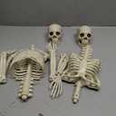 2 x CAMIRUS 2PACK 36" Skeleton Halloween Decorations, 3ft Life Full Size Skeleton with Realistic Posable Movable Joints for Halloween Haunted Houses, Lawn, Graveyard