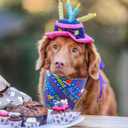 CROWNED BEAUTY Birthday Dog Bandanas Reversible Large 2 Pack, Happy Birthday Set, Adjustable Triangle Holiday Blue Scarves for Medium Large Extra Large Dogs Girl Boy Pets DB50-L