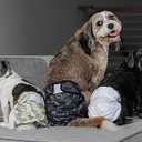 Pet Parents Washable Dog Diapers (3pack) + Extendrs of Durable Doggie Diapers, Premium Dog Diapers Female & Male (X-Large, Camo)
