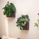 Wood Wall Planter Vase with Artificial Plants Wall Decor, Small Wall Plant Decor Hanging Greenery Fake Monstera Indoor for Living Room Bedroom Bathroom Kitchen Office (Brown)