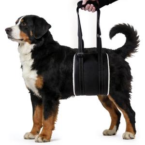 Dog Lift Harness, Adjustable Comfortable Dog Sling with Handle for Hind Leg Support Soft Lift Support and Rehab Harness for Weak Rear Legs, Helps Senior, Injured, Disabled and After ACL Surgery Dogs L