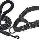 haapaw Martingale Dog Collar with Quick Release Buckle Reflective Dog Training Collars for Dogs