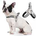No Pull Small Dog Harness, Adjustable Puppy Soft Vest Harness with Breathable Mesh Padded, Reflective Lightweight Harness with Buckle for Extra Small Medium Dogs, Sliver-M