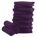 16 Pack Baby Washcloths - Luxury Coral Fleece - Extra Absorbent and Soft Wash Clothes for Newborns, Infants and Toddlers - Suitable for Sensitive Skin and New Born - Baby Shower - Plum, 10x10 Inch