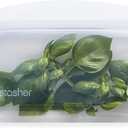 Stasher Premium Silicone Reusable Food Storage Snack Bag, Clear, Microwave, Sous Vide, Dishwasher, Oven and Freezer Safe, BPA Free, Leak-free, Eco-friendly, 12 Oz