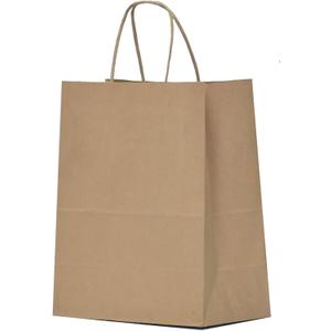Qutuus 10x5x13 Kraft Paper Bags 100 Pcs Kraft Shopping Bags, Paper Gift Bags for Retail, Merchandise, Recycled Bulk Paper Sacks, Brown Paper Bags with Handles Bulk
