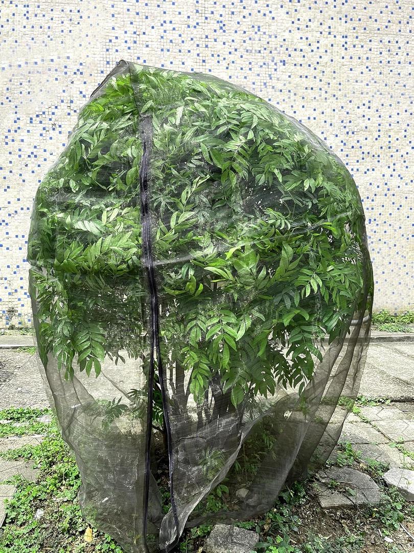 Large Fruit Tree Netting 2 Pack 8x8 Ft, Bird Netting for Garden with Zippers, Black Garden Netting Protection Plant Cover for Blueberry Cherry Peach, Preventing Deer Squirrel